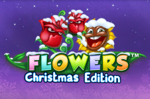 Flowers Christmas Edition